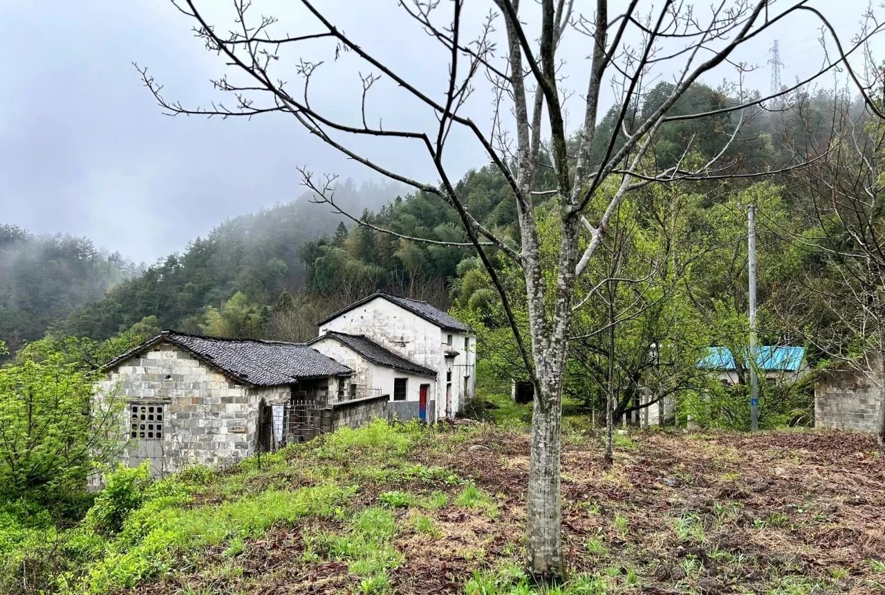 Ancient Village Very Suitable for Retirement - Songmuling Village